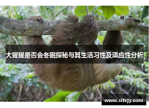 大猩猩是否会冬眠探秘与其生活习性及适应性分析
