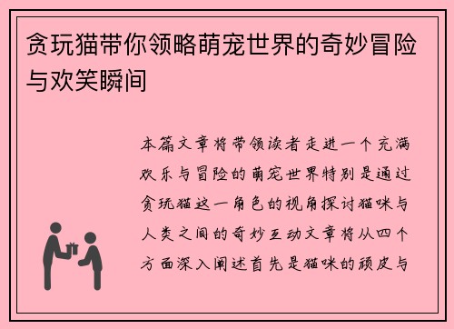贪玩猫带你领略萌宠世界的奇妙冒险与欢笑瞬间