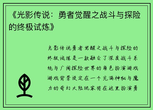 《光影传说：勇者觉醒之战斗与探险的终极试炼》